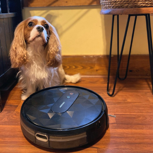 We are loving our new Airrobo vacuum! It really helps with the dog hair!