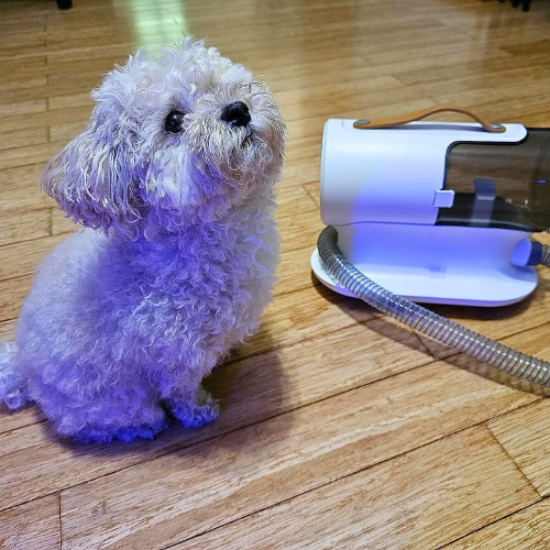 This makes everything so much easier. Cuts and cleans all in one. I like that it's not overly loud so the dogs won't get frightened.