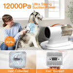 Load image into Gallery viewer, AIRROBO PG100
