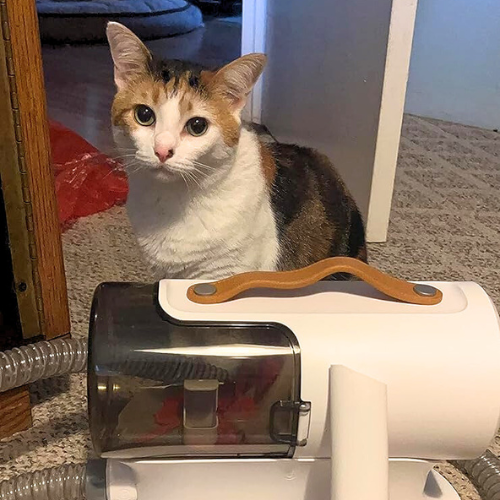 The vacuum is very cute and aesthetically pleasing but most of all, it works.