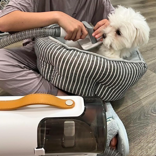 My dog is small and I was afraid that he will be scared, but after I tried it, my dog was so comfortable with it and was not scared at all.